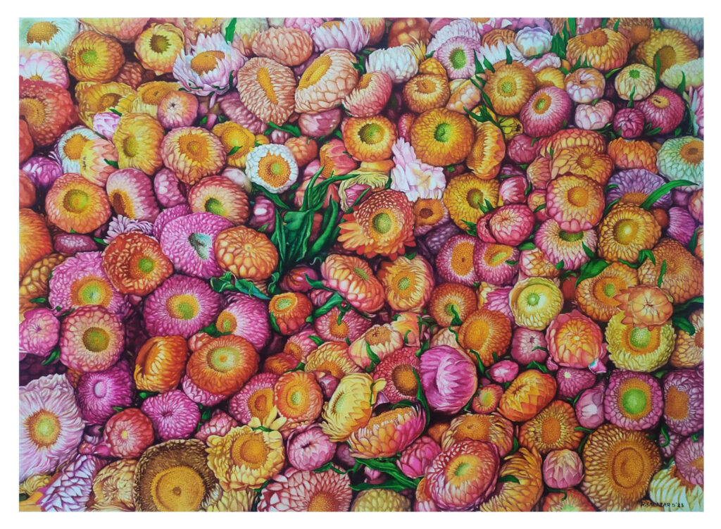 Everlasting (29 x 21 inches)