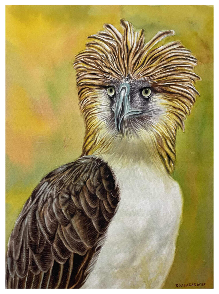 Pearl of The Orient Eagle (13 x 19 inches)